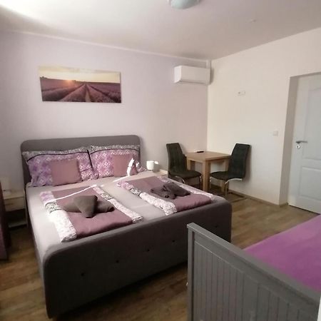 Ubytovani Na Spaciru Mikulov Buitenkant foto