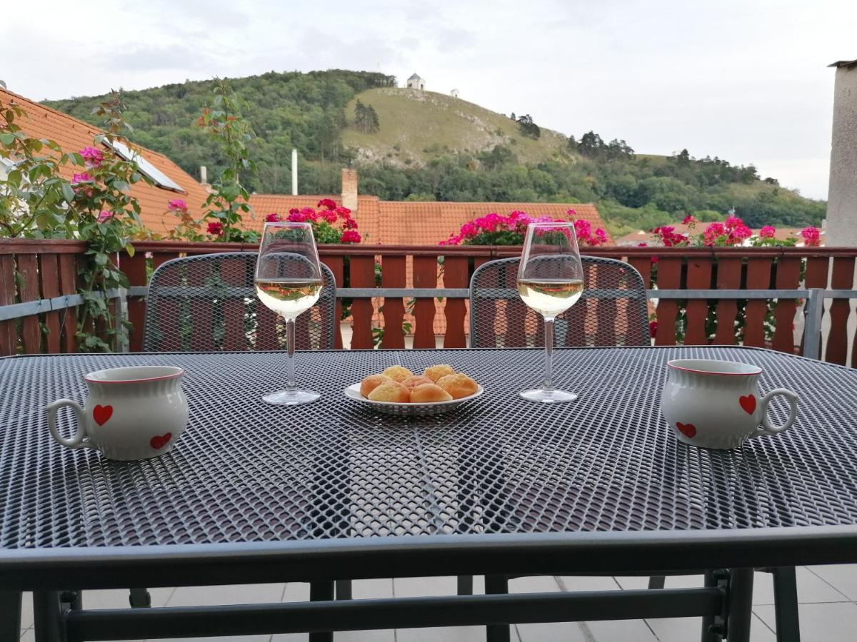 Ubytovani Na Spaciru Mikulov Buitenkant foto