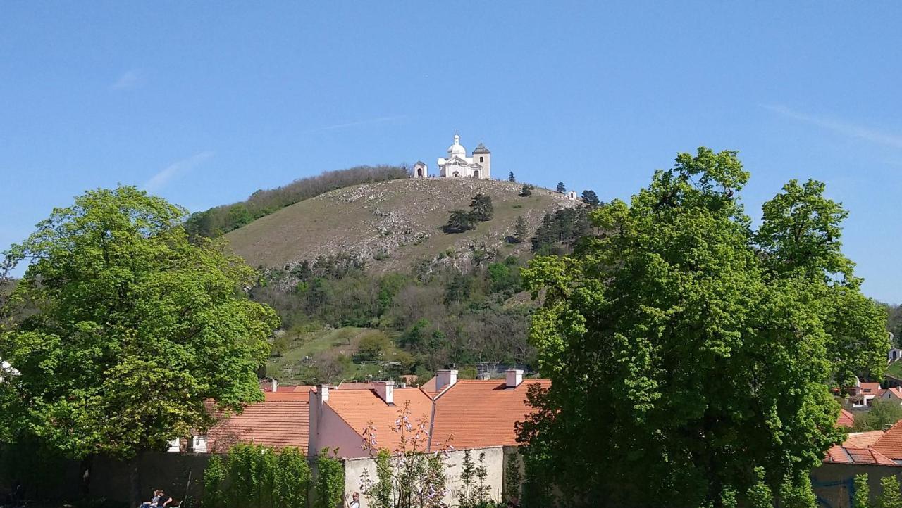 Ubytovani Na Spaciru Mikulov Buitenkant foto